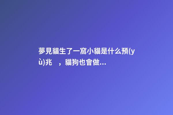 夢見貓生了一窩小貓是什么預(yù)兆，貓狗也會做夢-第1張-觀點(diǎn)-玄機(jī)派